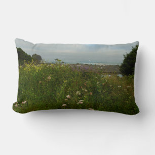 Yurok Loop Trail in Redwood National Park Kussen