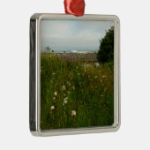 Yurok Loop Trail in Redwood National Park Metalen Ornament (Rechts)