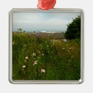 Yurok Loop Trail in Redwood National Park Metalen Ornament