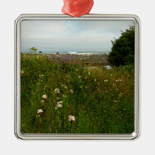 Yurok Loop Trail in Redwood National Park Metalen Ornament (Voorkant)