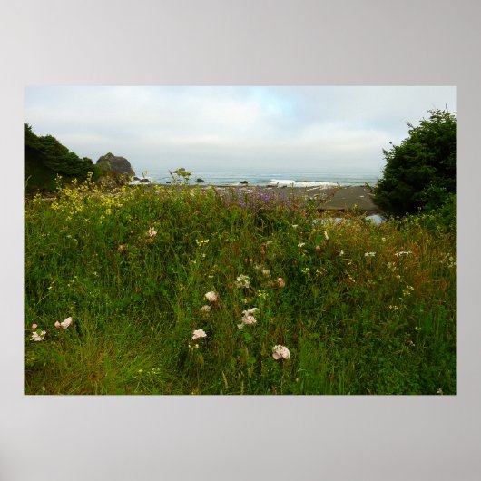 Yurok Loop Trail in Redwood National Park Poster (Voorkant)