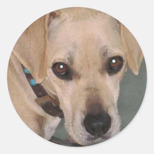 YY- Schattigee pup stickers (Voorkant)