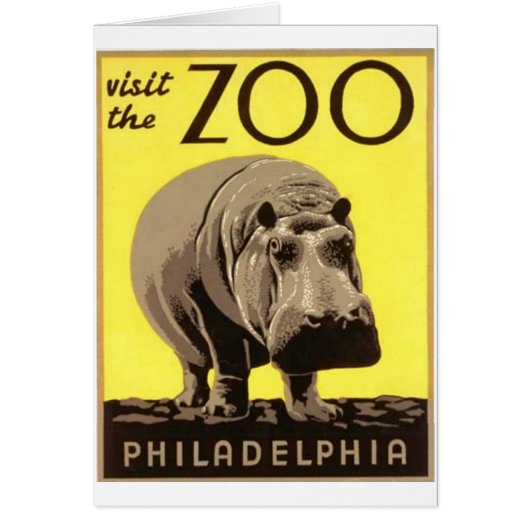 Z00 - Hippo (Voorkant)