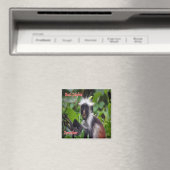 Z010 ZANZIBAR, Red Colobus, Tanzania, Fridge Magneet (Insitu (Vaatwasser))