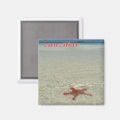 Z011 ZANZIBAR, Starfish, Tanzania, Afrika, Fridge Magneet (Voorkant / Achterkant)