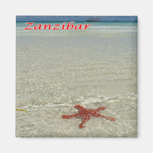 Z011 ZANZIBAR, Starfish, Tanzania, Afrika, Fridge Magneet