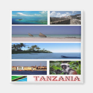 Z014 TANZANIA, Mozaïek, Afrika, Fridge Magneet