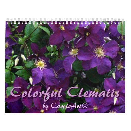 Z Colorful Clematis 2013 Kalender (Hoes)