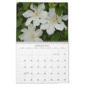 Z Colorful Clematis 2013 Kalender (Jan 2027)