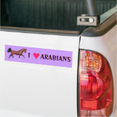 Z I Love Arabians Horse Lover Art Bumpersticker (Op Truck)