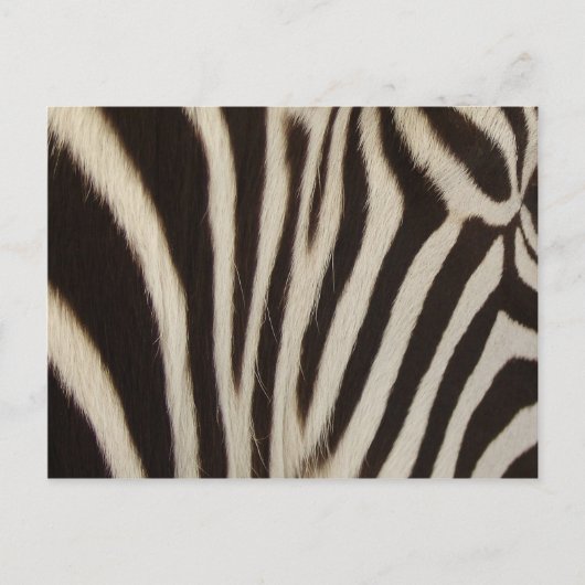 Z Stripes Briefkaart (Voorkant)