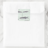 Z voor zebravis Sticker (Tas)