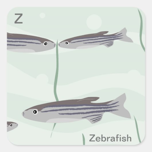 Z voor zebravis Sticker (Voorkant)