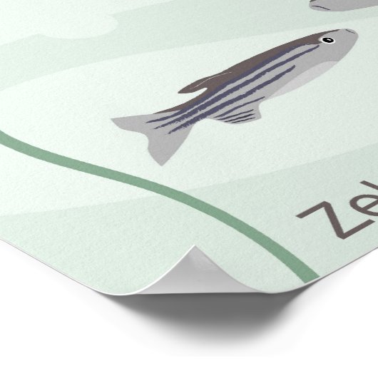 Z voor zebravisPoster Poster (Hoek)