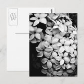 Z&W BRIEFKAART (Voorkant / Achterkant)