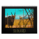 ZA Dieren Wilde landbouwhuisdieren Kalender (Hoes)