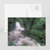 ZA, Peru, S.H. Machu Picchu, Waterval en wolk Briefkaart (Voorkant / Achterkant)