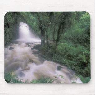 ZA, Peru, S.H. Machu Picchu, Waterval en wolk Muismat