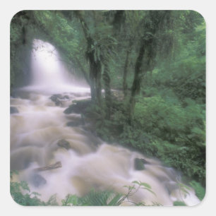 ZA, Peru, S.H. Machu Picchu, Waterval en wolk Vierkante Sticker