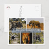 ZA * ZUID-AFRIKA - DE GROTE 5 in KRUGER N.P. Briefkaart (Voorkant / Achterkant)