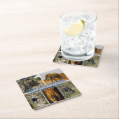 ZA * ZUID-AFRIKA - DE GROTE 5 in KRUGER N.P. Kartonnen Onderzetters (Insitu)