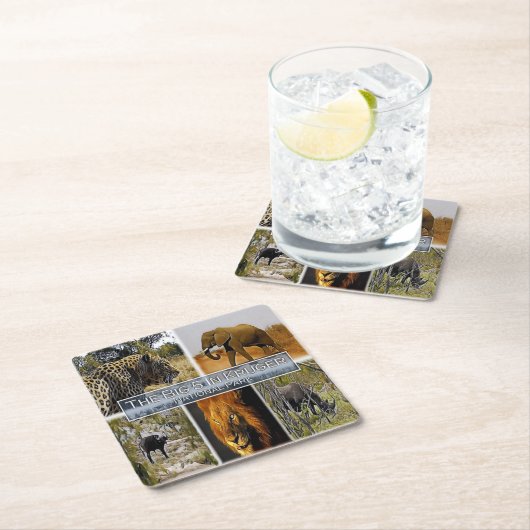 ZA * ZUID-AFRIKA - DE GROTE 5 in KRUGER N.P. Kartonnen Onderzetters (Insitu)