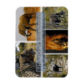 ZA * ZUID-AFRIKA - DE GROTE 5 in KRUGER N.P. Magneet (Verticaal)