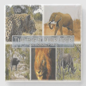 ZA * ZUID-AFRIKA - DE GROTE 5 in KRUGER N.P. Stenen Onderzetter (Voorkant)