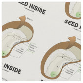 Zaad binnenin Bean Anatomee Humor Stof (Close Up)