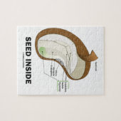 Zaad binnenin (dicotyledon Bean Seed Anatomy) Legpuzzel (Horizontaal)