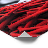 Zaad in het zand Poster (Hoek)