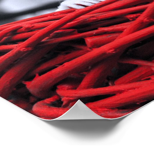 Zaad in het zand Poster (Hoek)