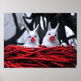 Zaad in het zand Poster