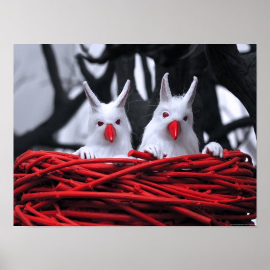 Zaad in het zand Poster (Voorkant)