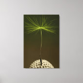 Zaad van een Dandelion foto op Canvas (Voorkant)