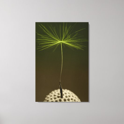 Zaad van een Dandelion foto op Canvas (Voorkant)