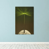 Zaad van een Dandelion foto op Canvas (Insitu (Houten vloer))