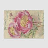  zaad van Kelway's Manual Seeds 1898 Tissuepapier (Voorkant)