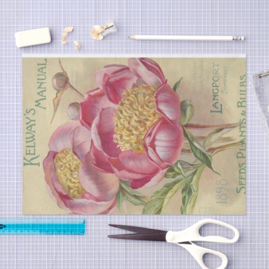 zaad van Kelway's Manual Seeds 1898 Tissuepapier (Craft)