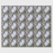 Zaad van Milroos en zijde Cadeaupapier (Vlak)