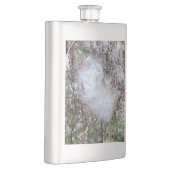 Zaad van Milroos en zijde Flacon (Rechts)