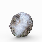 Zaad van Milroos en zijde Fotoblokken (Links)