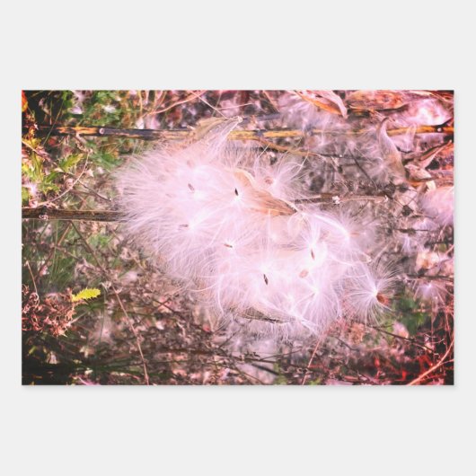 Zaad van Milroos en zijde Inpakpapier Vel (Voorkant 3)