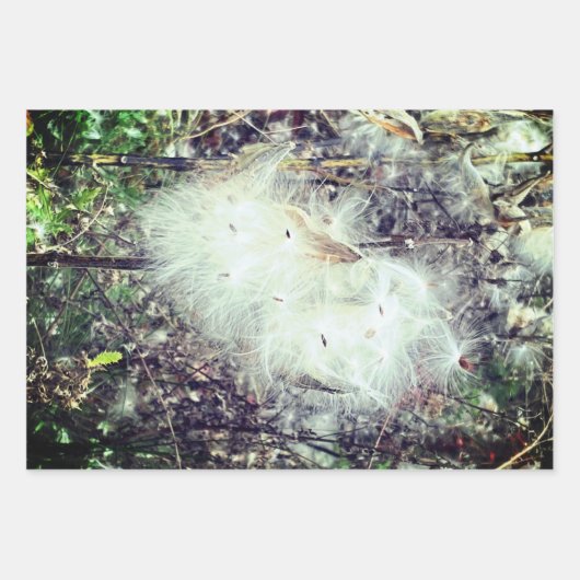 Zaad van Milroos en zijde Inpakpapier Vel (Voorkant 2)