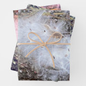 Zaad van Milroos en zijde Inpakpapier Vel (In situ)