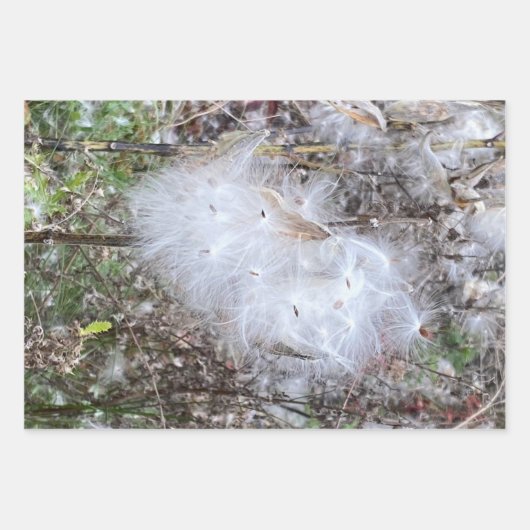 Zaad van Milroos en zijde Inpakpapier Vel (Voorkant)