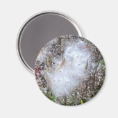 Zaad van Milroos en zijde Magneet (Voorkant / Achterkant)