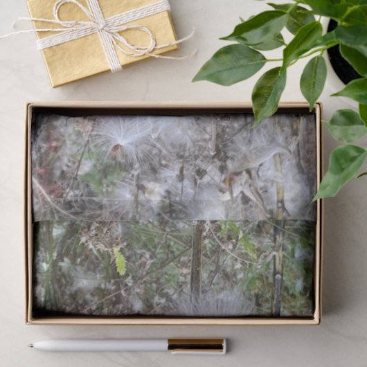 Zaad van Milroos en zijde Tissuepapier (Geschenk)