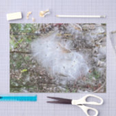 Zaad van Milroos en zijde Tissuepapier (Craft)