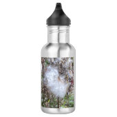 Zaad van Milroos en zijde Waterfles (Rechts)